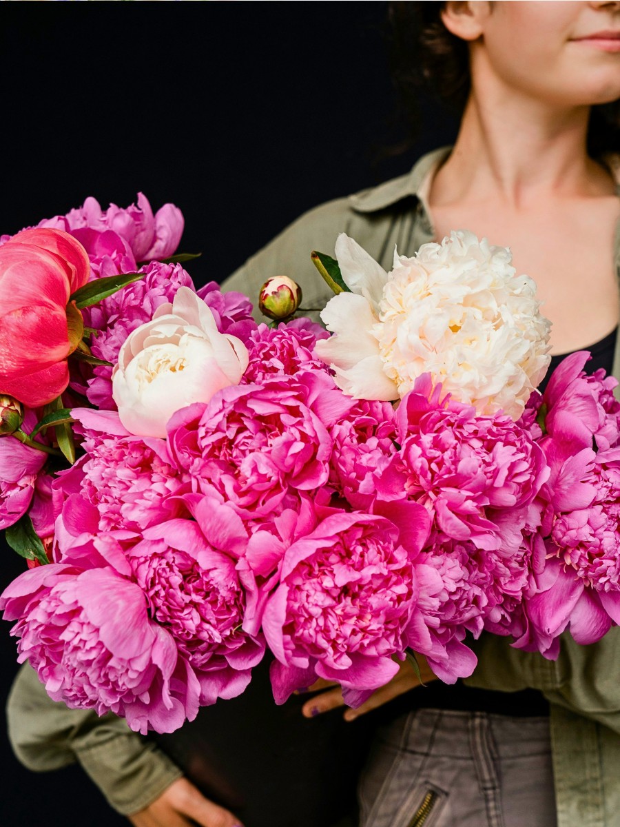 What Flowers Symbolize New Beginnings?