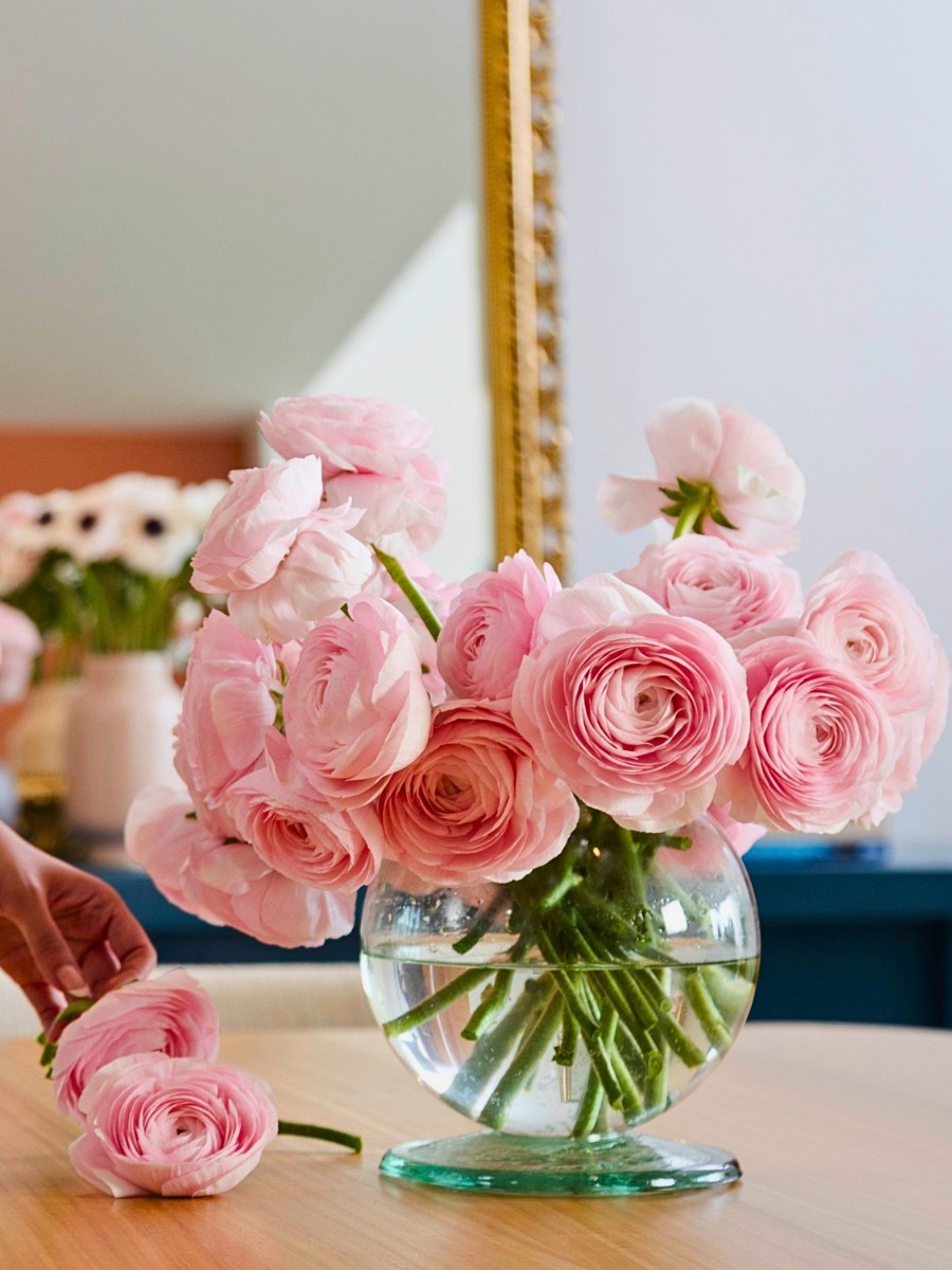 What flowers symbolize new beginnings?