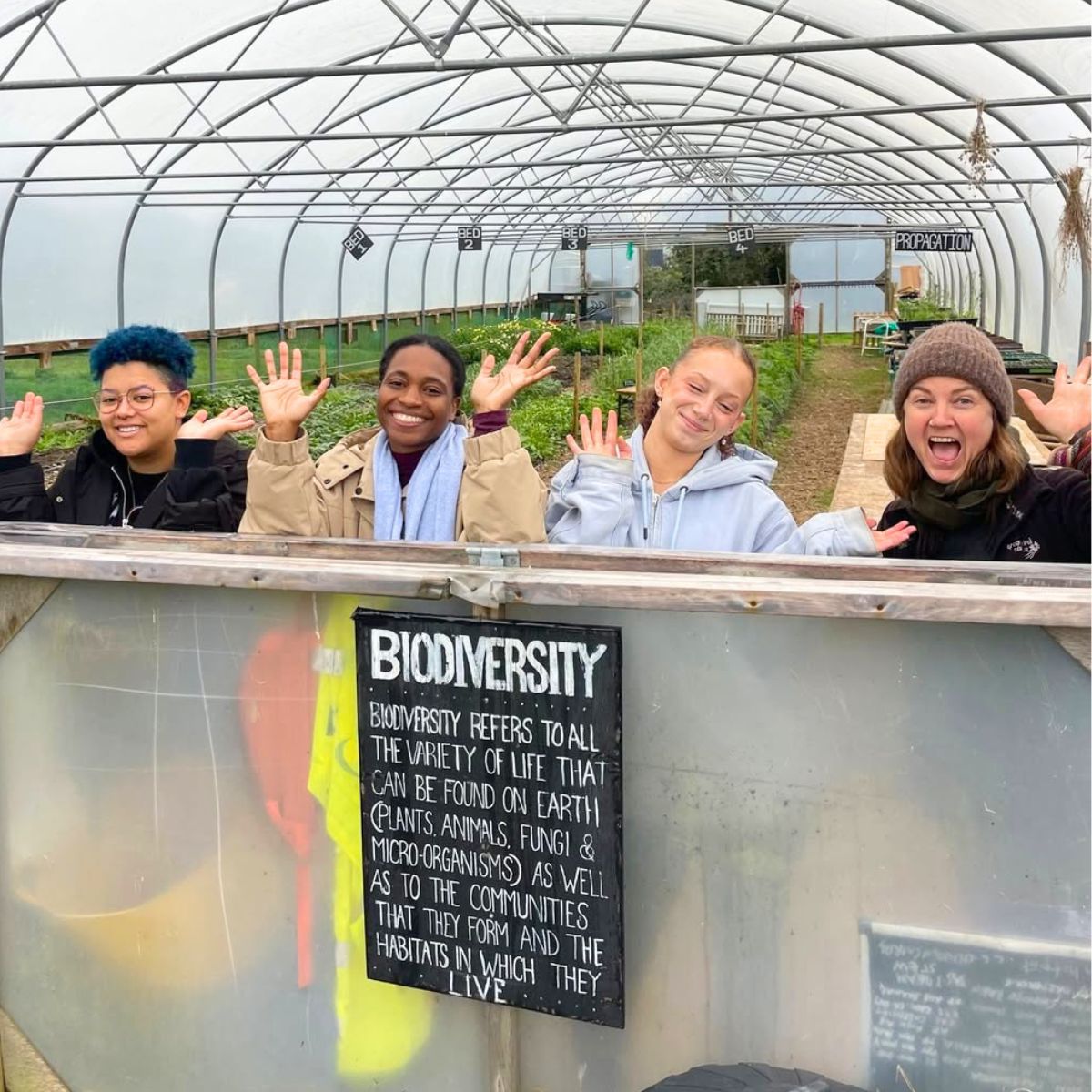 Meaning of biodiversity