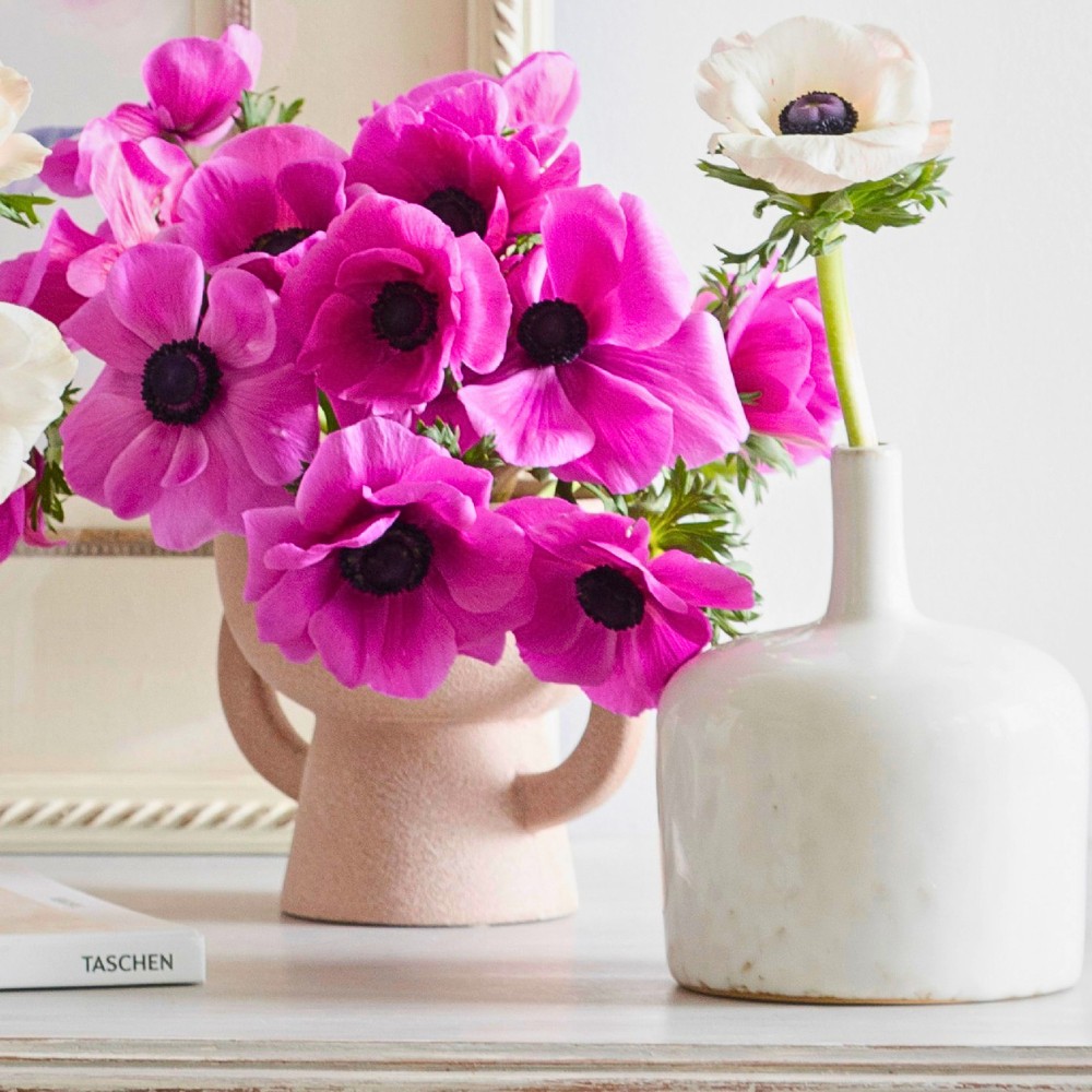 Flowers That Symbolize New Beginnings