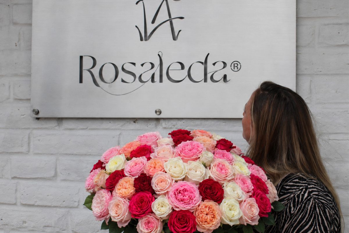 La Rosaleda using Mayras line La Rosaleda using Mayras line