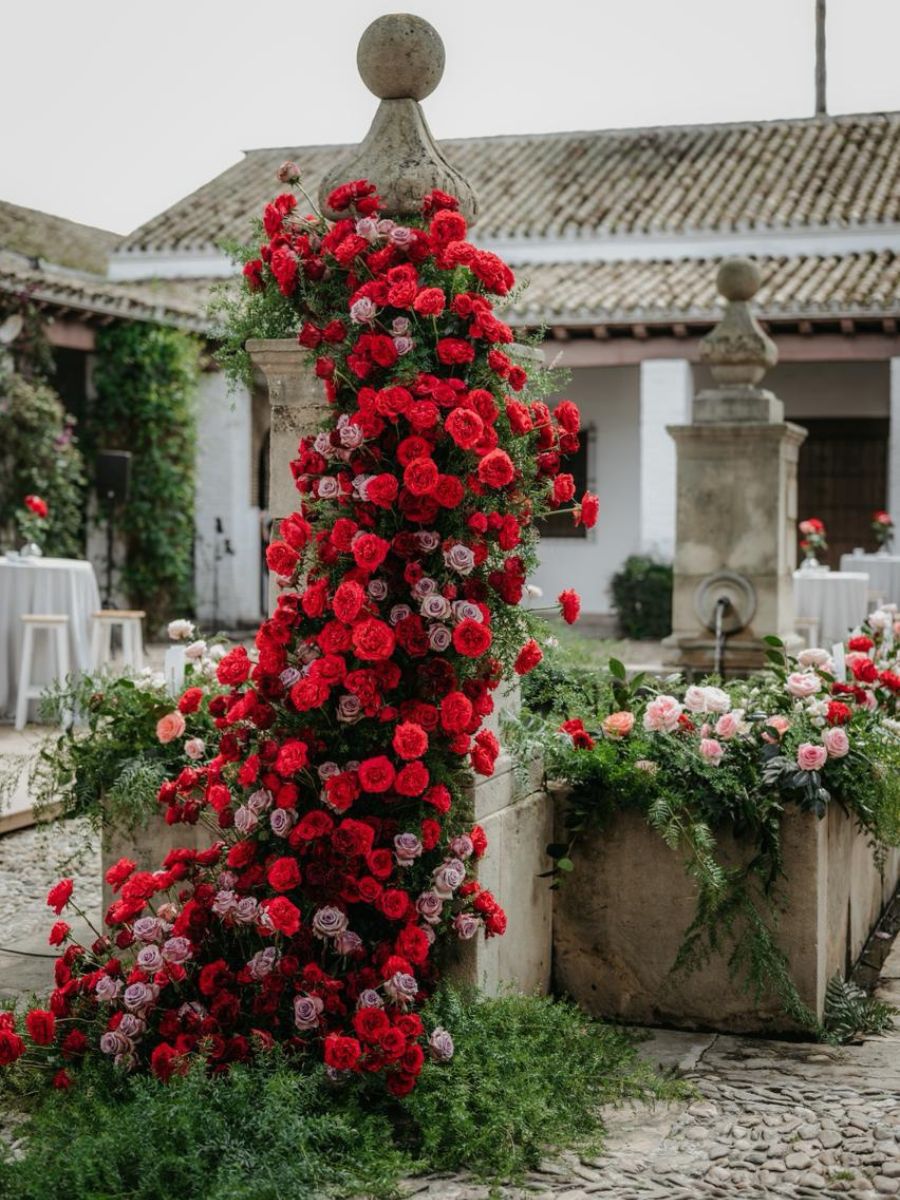 Mayra red rose in a wedding
