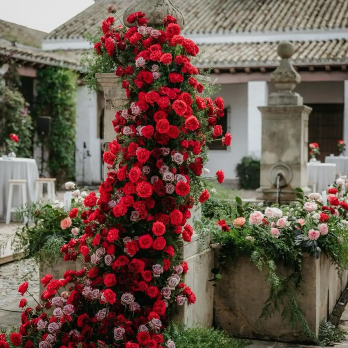 Red Mayras