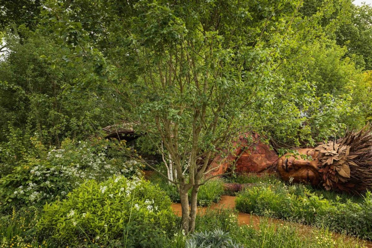View of all the greenery around Gaia