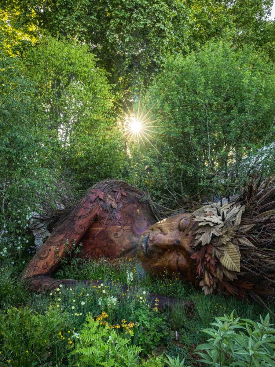 Sun coming in through Gaia