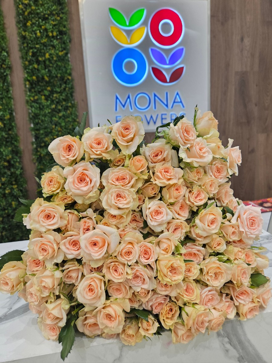 Mona Flowers at IFTEX 2026 &ndash; A Rising Premium Rose Grower Worth Watching