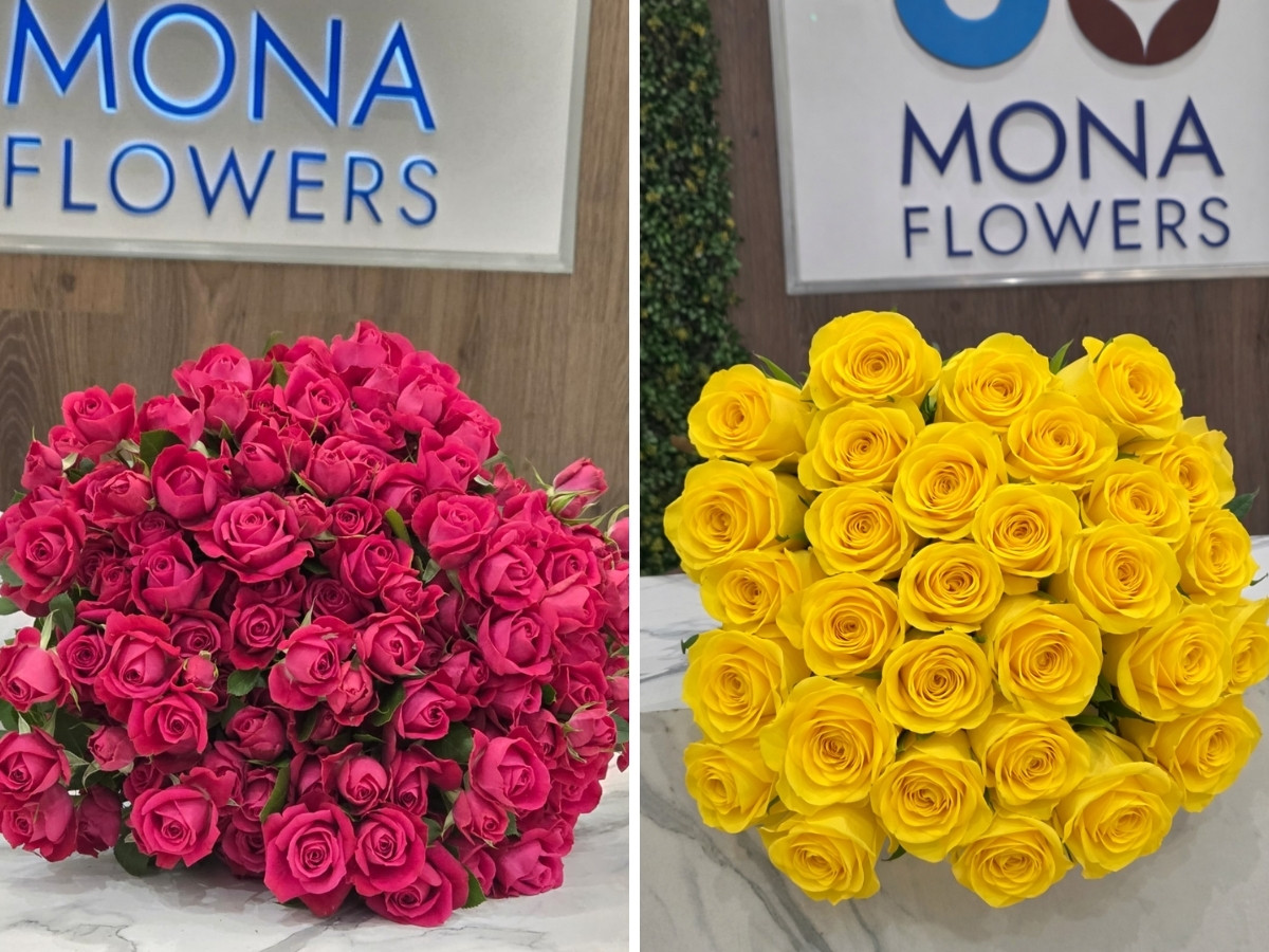 Roses from Mona Flowers Mona Flowers at IFTEX 2026 – A Rising Premium Rose Grower Worth Watching