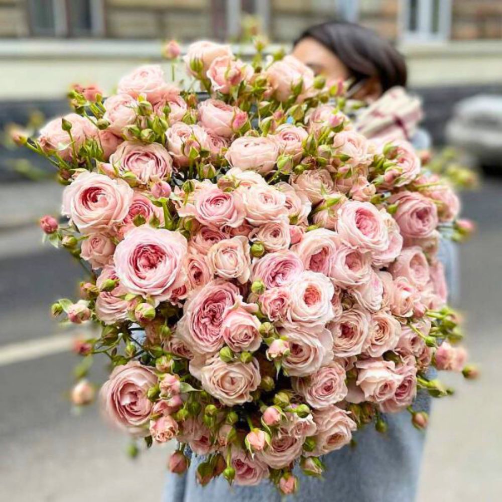 Viking Roses