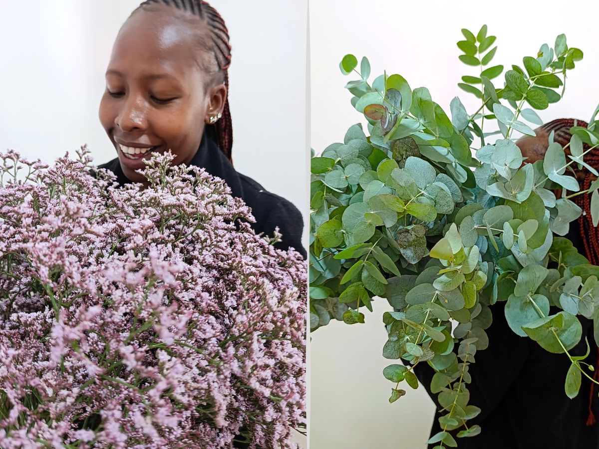 Growtech Flowers