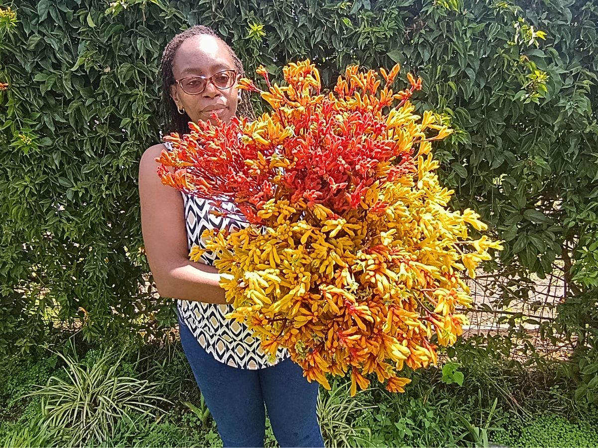 Growtech Flowers