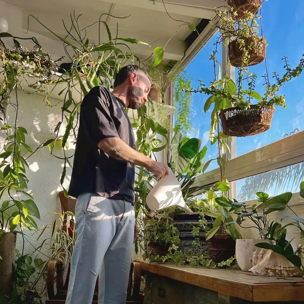 Florist Equipment Feature Image
