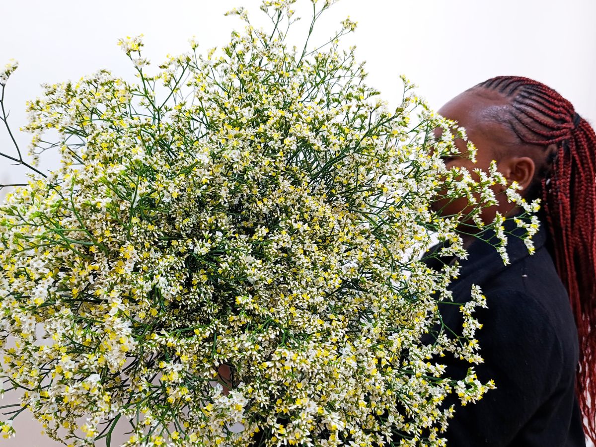 Growtech Flowers