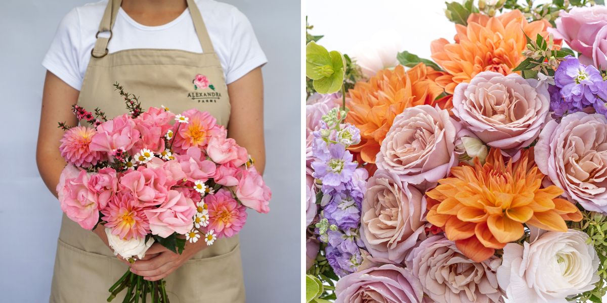 Pinkish toned spray roses by Alexandra Farms