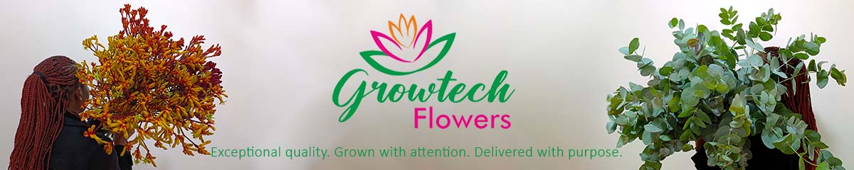 BannerGrowtech Desktop BannerGrowtech Desktop