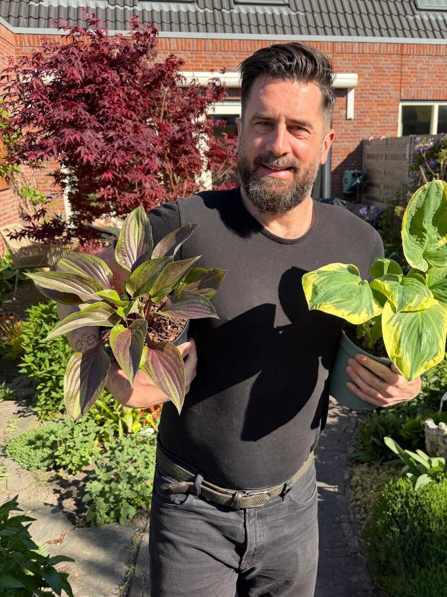 Michael &lsquo;Mr. Plant Geek&rsquo; Perry on the Hosta Red Ninja