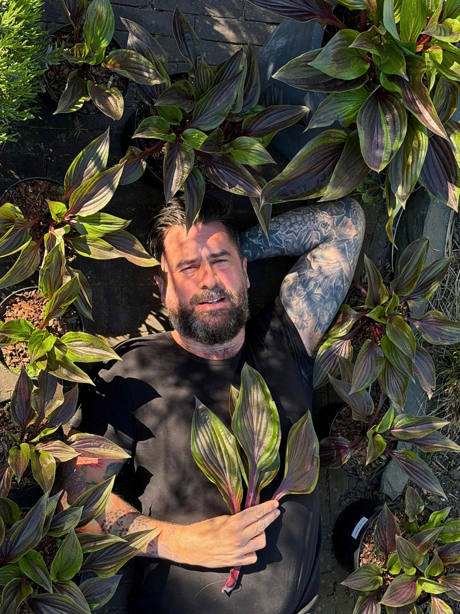 Michael &lsquo;Mr. Plant Geek&rsquo; Perry on the Hosta Red Ninja