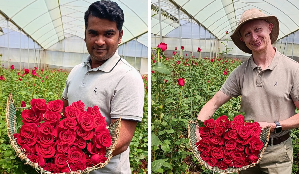 Meilland Is at IFTEX 2026. Visit Them at Their Stand B4.08 to Feel and Experience Their Roses. They Unveil Red Monarch&reg; Meiriposo, Their New Super Premium Red Rose.