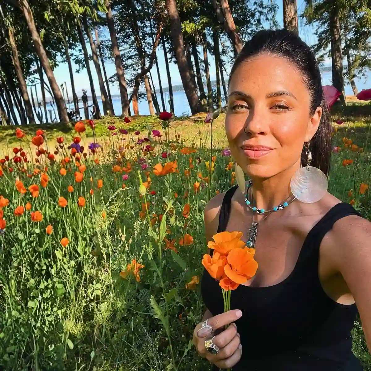 California Poppy – What You’d Want to Know About This California State Flower