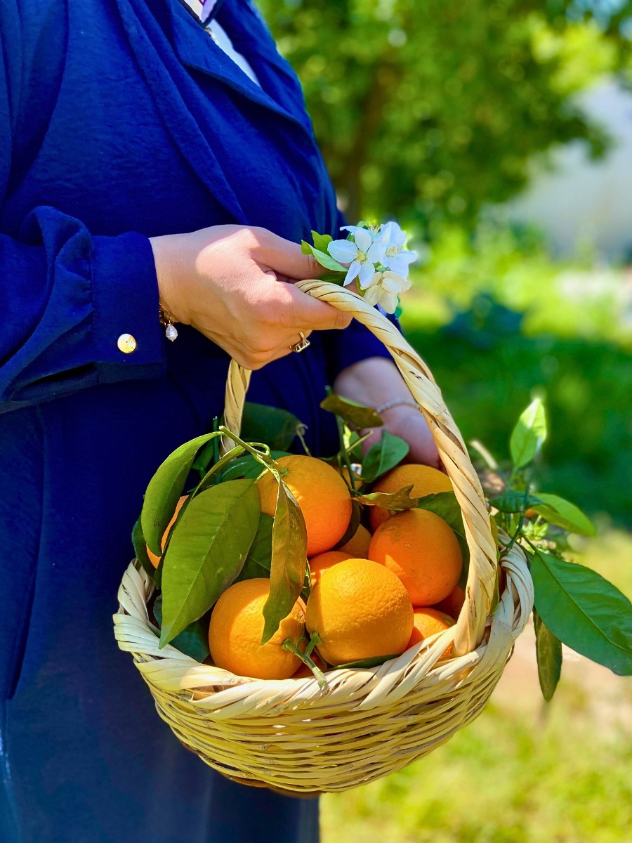 The Official Florida State Flower Is the Orange Blossom, the Flower of the Sweet Orange Tree Also Called Citrus Sinensis