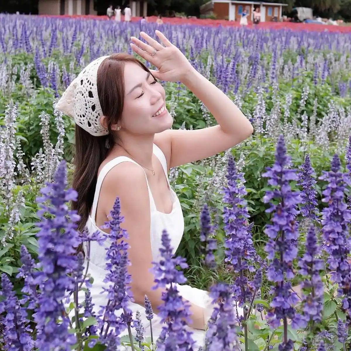Thailand Flower Content Feature Image