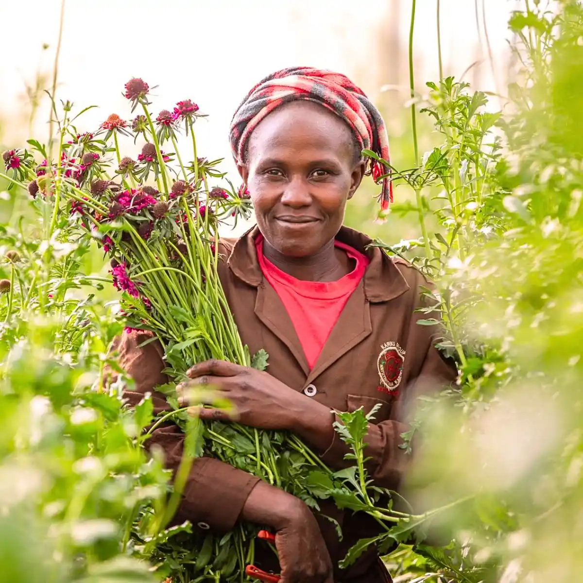 Sustainability With Soul