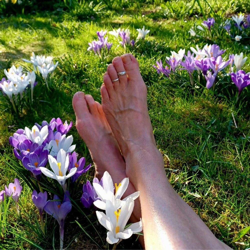 Which Flowers Bloom in Winter? Here&rsquo;s a Guide to the Most Common Winter-Blooming Flowers.