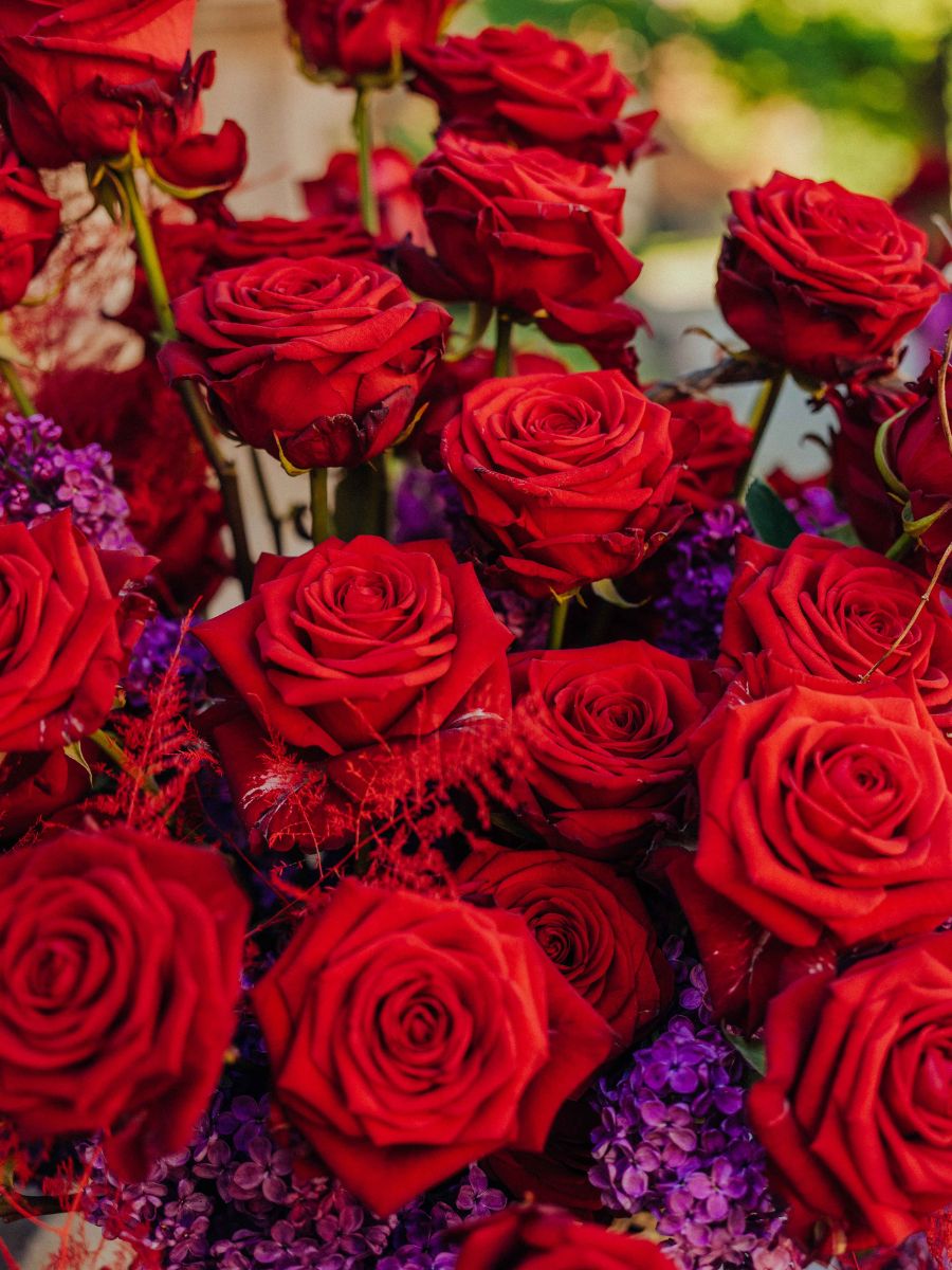 Rose Red Naomi from Porta Nova by Sanita Cipruse