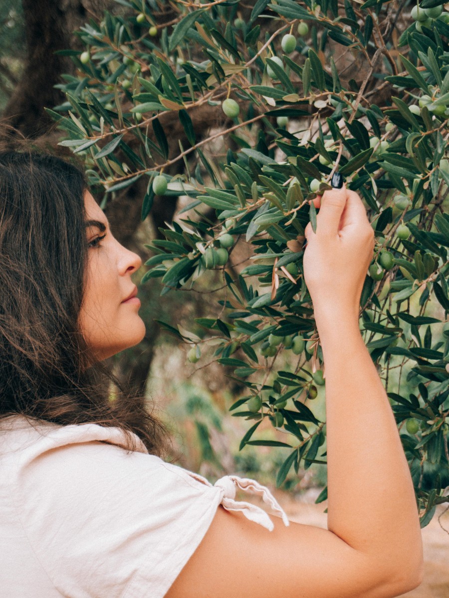 How Can You Observe National Olive Day? There Are Many Ways to Celebrate National Olive Day