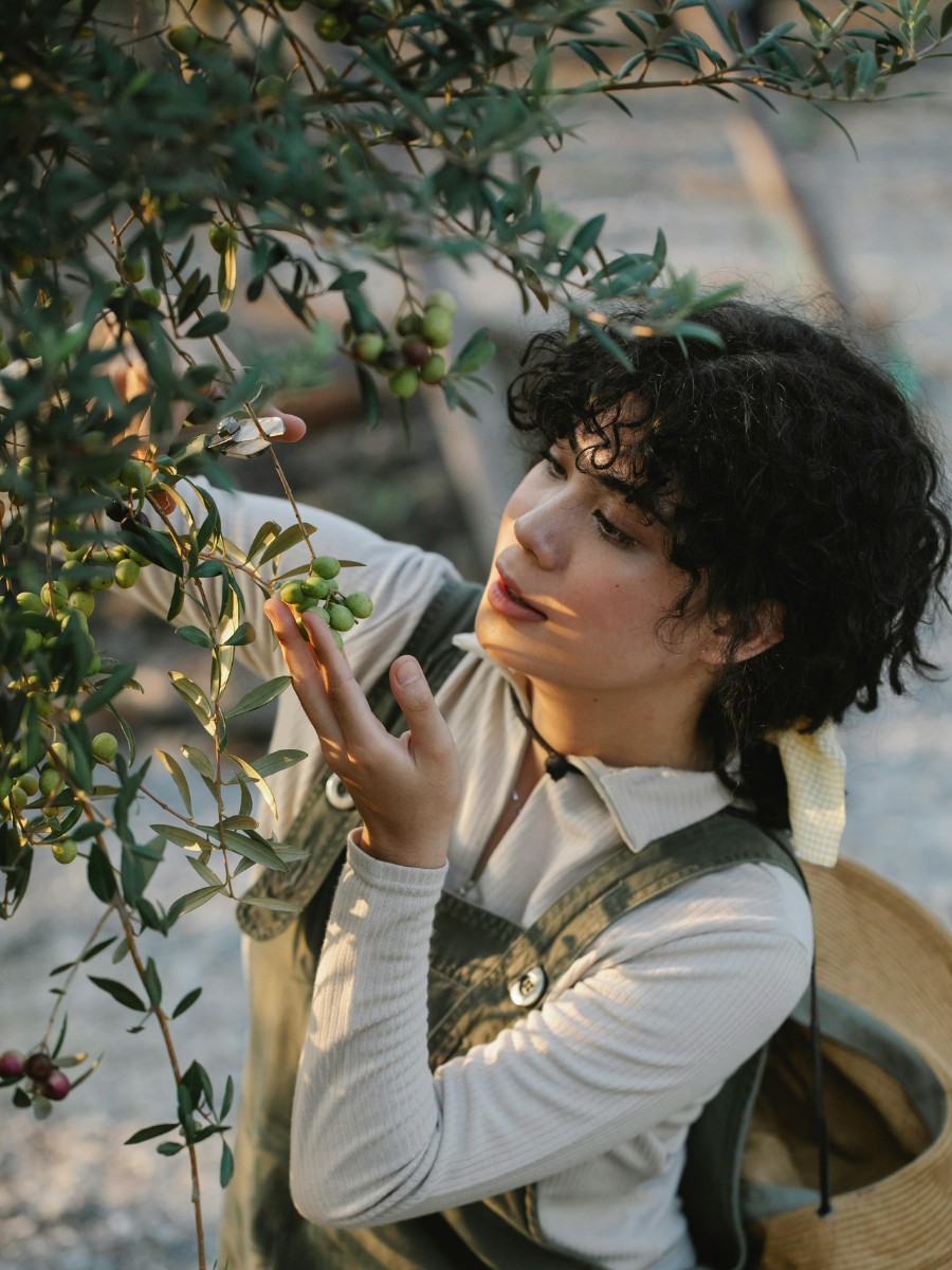 How Can You Observe National Olive Day? There Are Many Ways to Celebrate National Olive Day