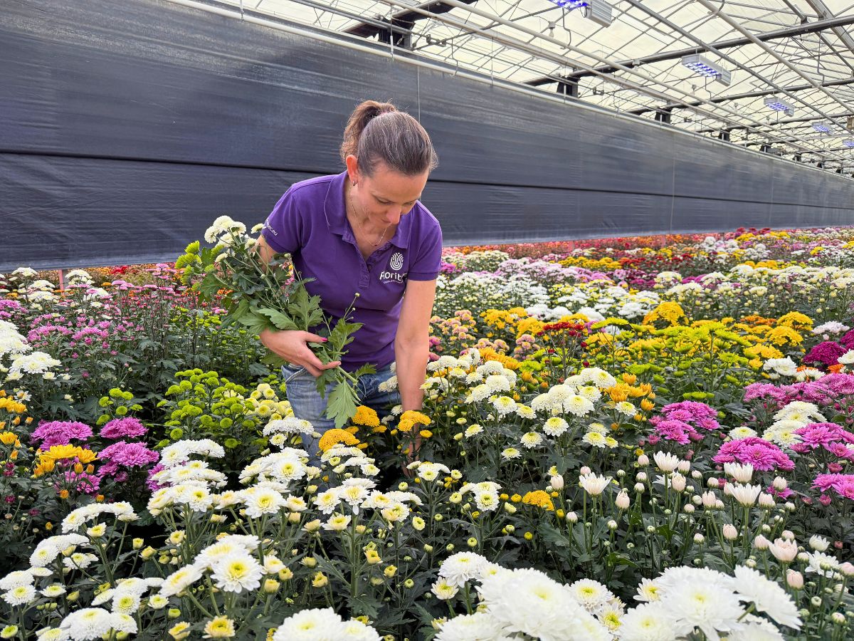 Floritec