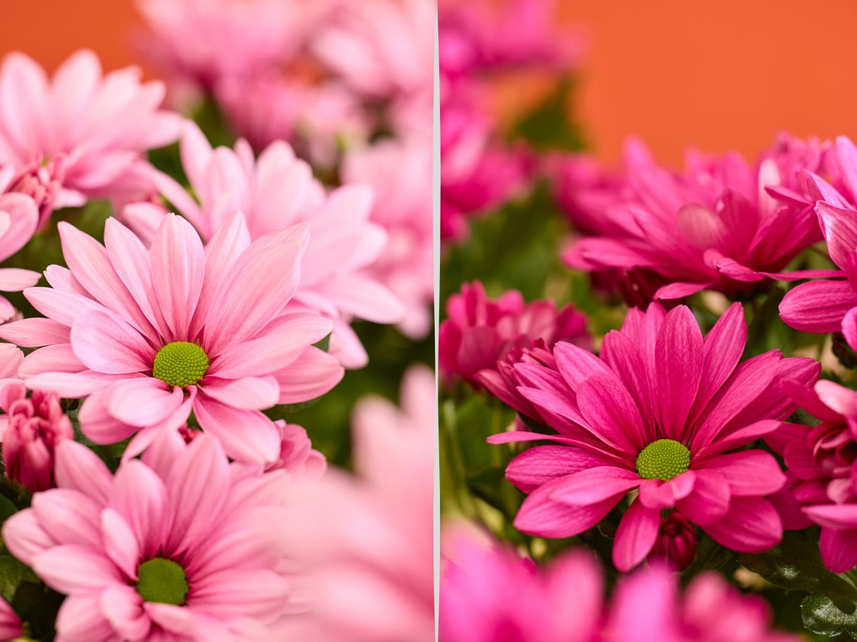 Floritec