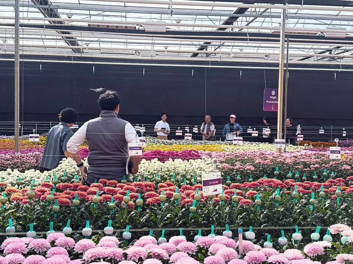 Floritec