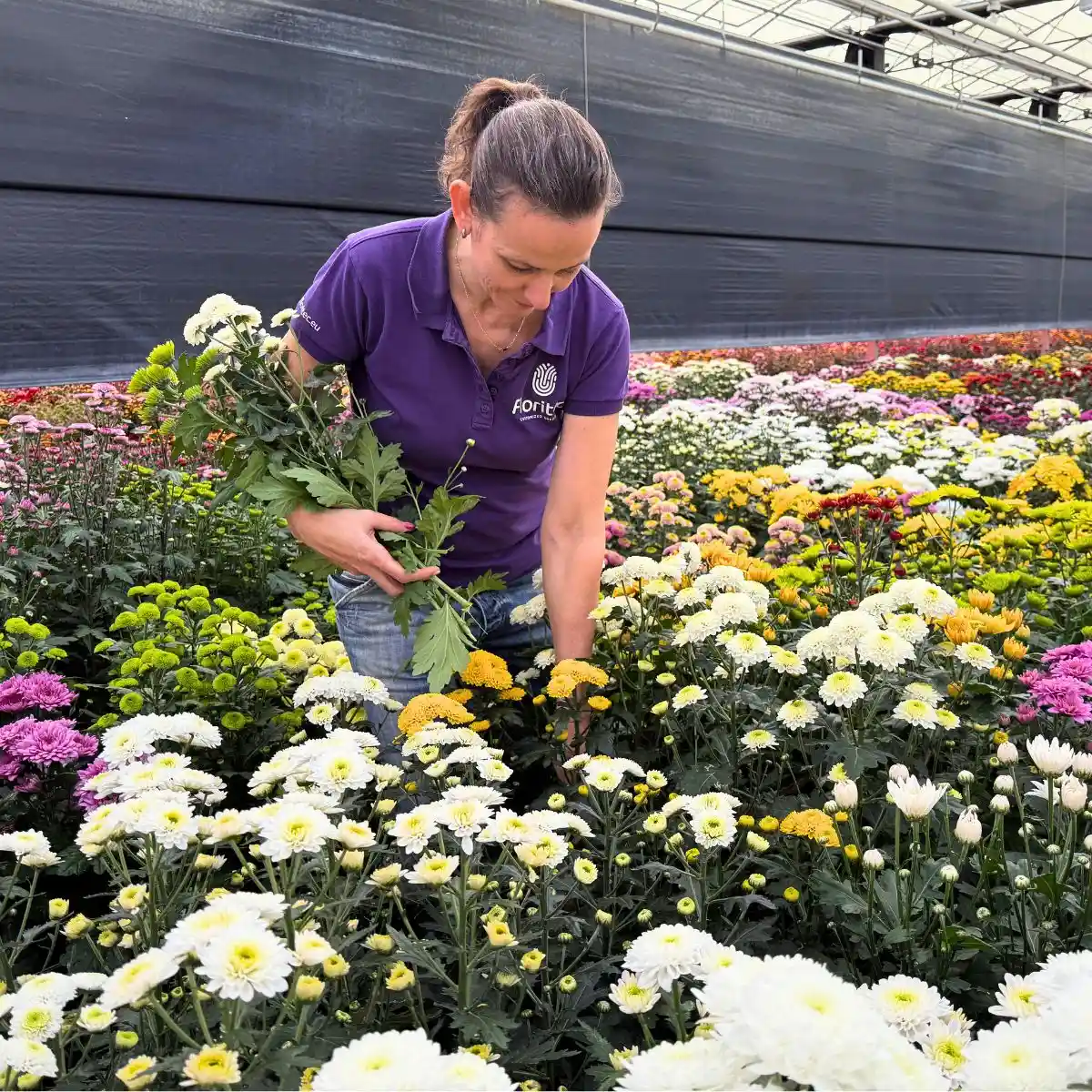 Floritec