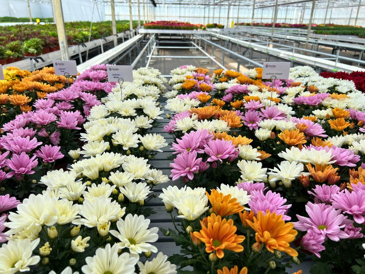 Floritec