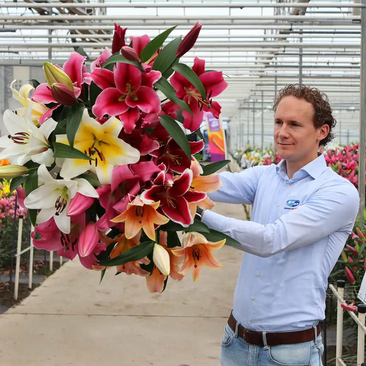 Dutch Lily Days Sjoerd Onings