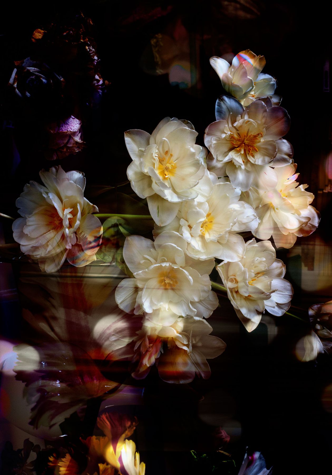 Isabelle Menin floral photography on Thursd