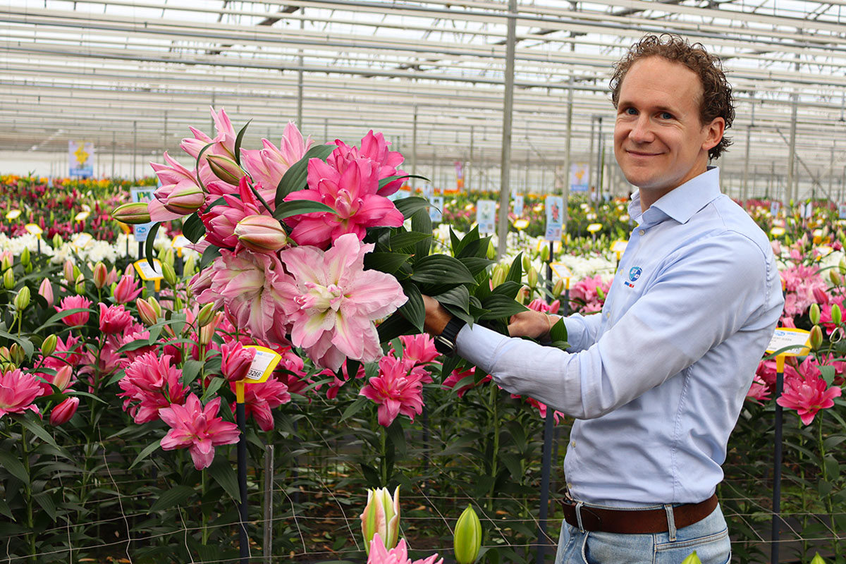 Dutch Lily Days Sjoerd Onings Roselilies