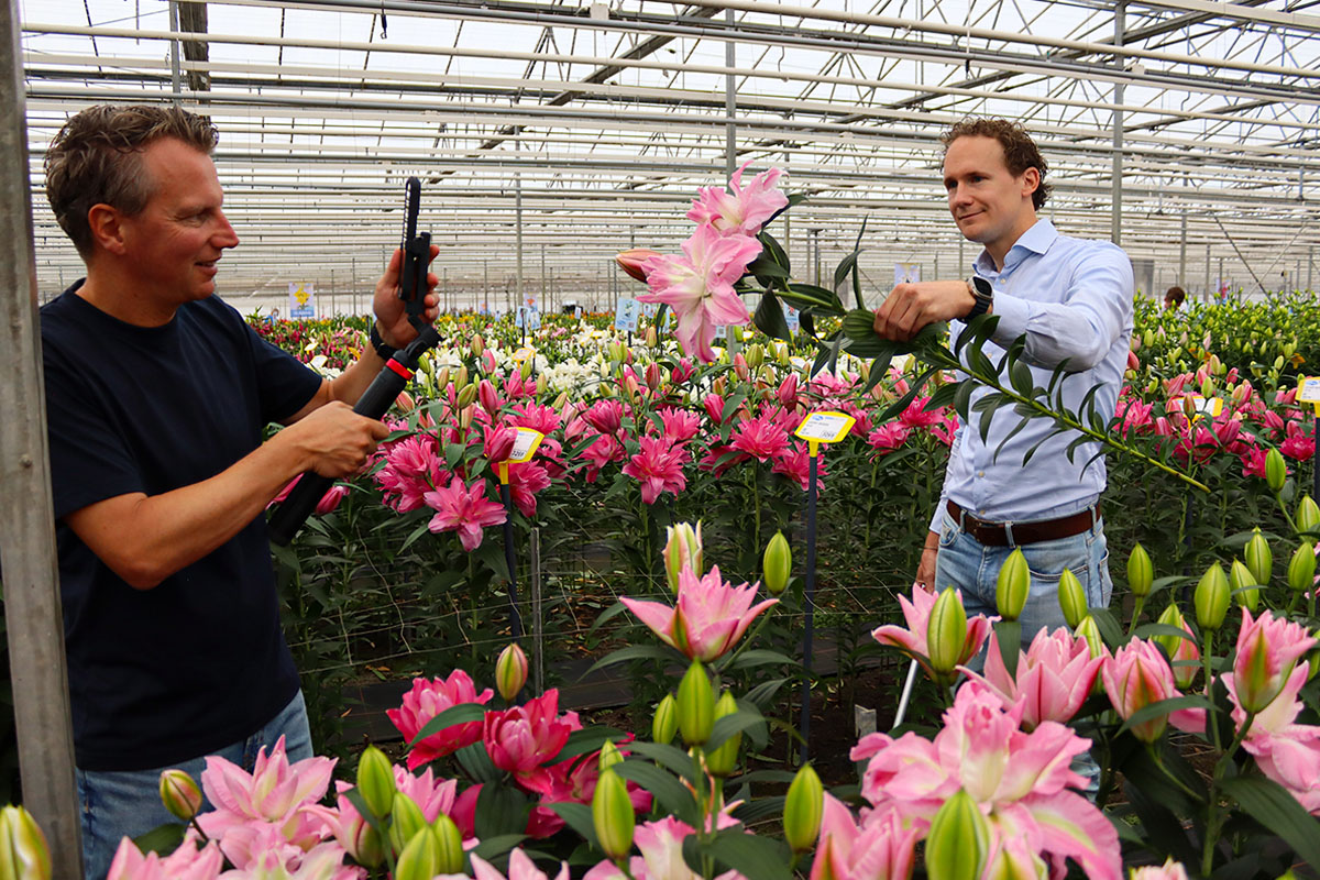 Dutch Lily Days Sjoerd Onings Peter van Delft