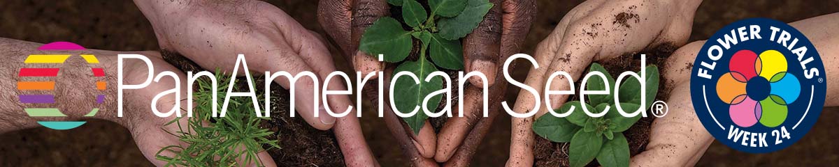 PanAm Seed banner