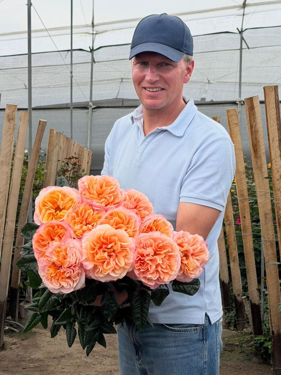 Peter Van Delft With Juicy Xpression roses