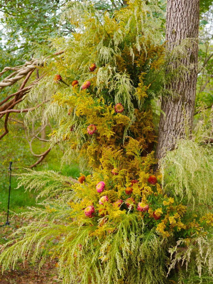 Flower and foliage installation