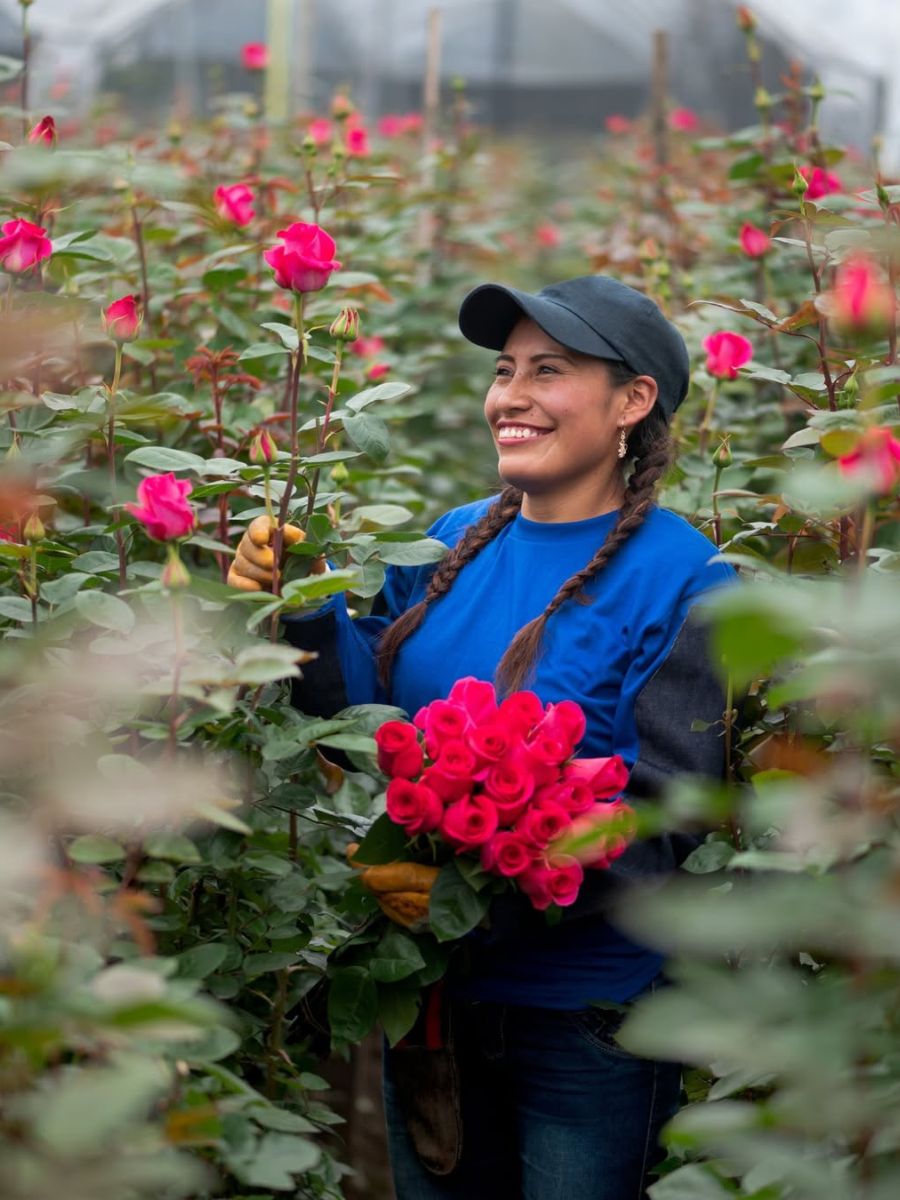 Bright pink roses from Mystic Flowers