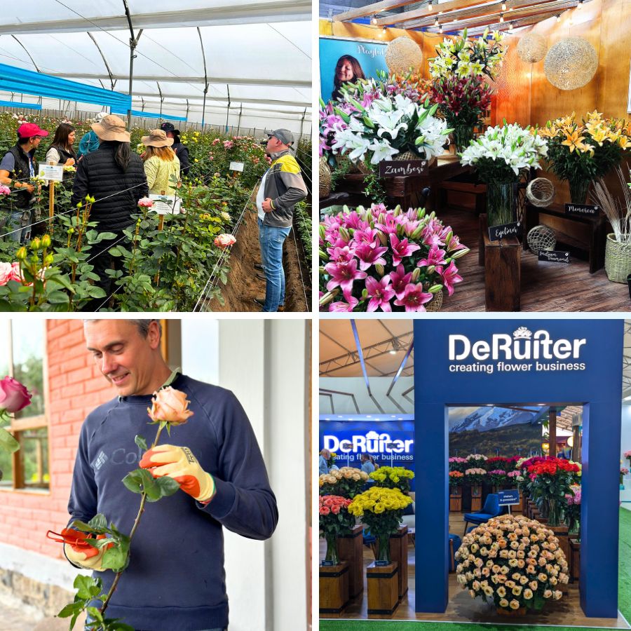 Expo flor moments at the farm and event