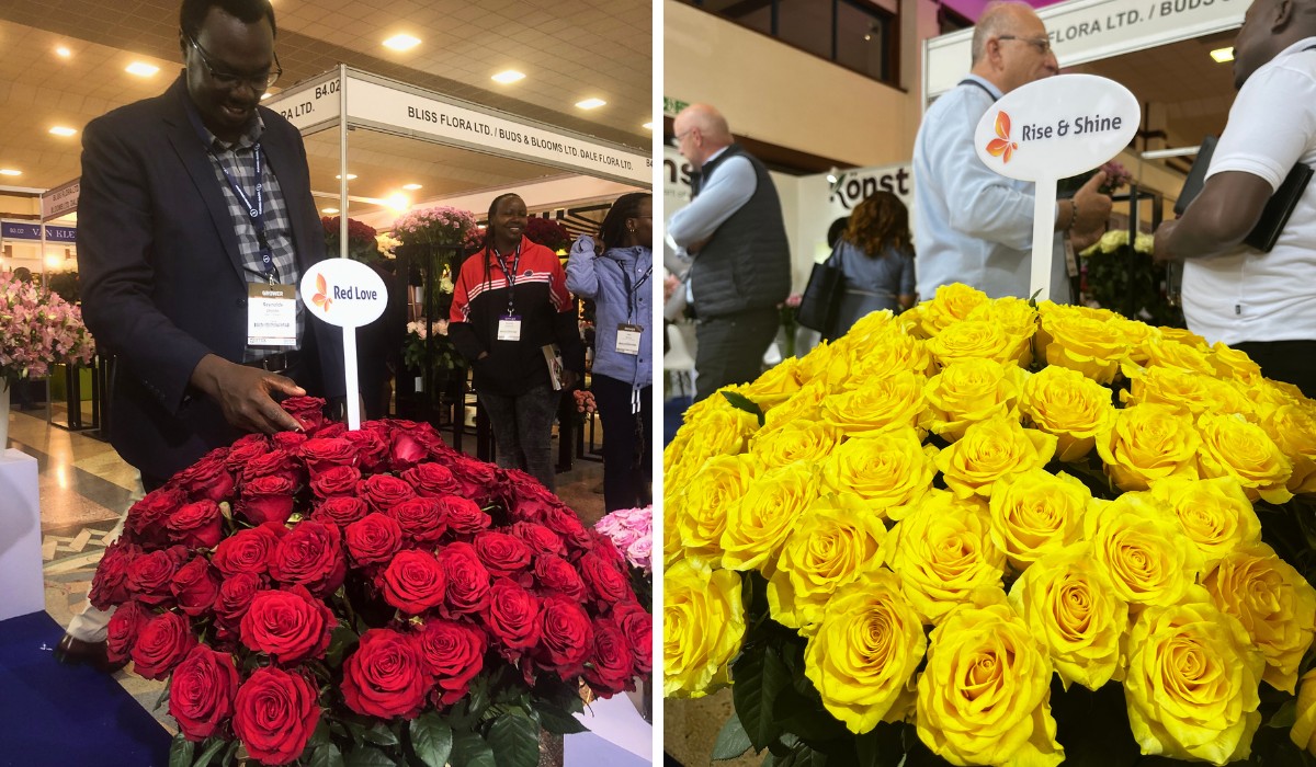 Here&rsquo;s What IFTEX 2026 Revealed About the Strength of Kenya&rsquo;s Flower Industry