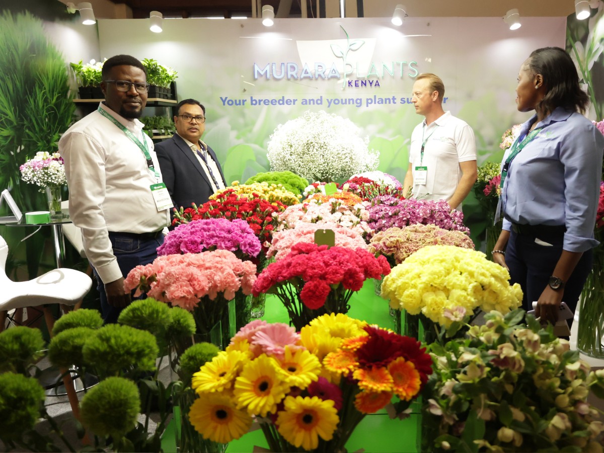 Here&rsquo;s What IFTEX 2026 Revealed About the Strength of Kenya&rsquo;s Flower Industry