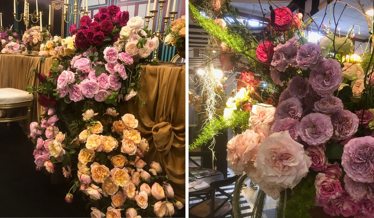 IFTEX 2026 Recap and What Flowers Mean for Kenya