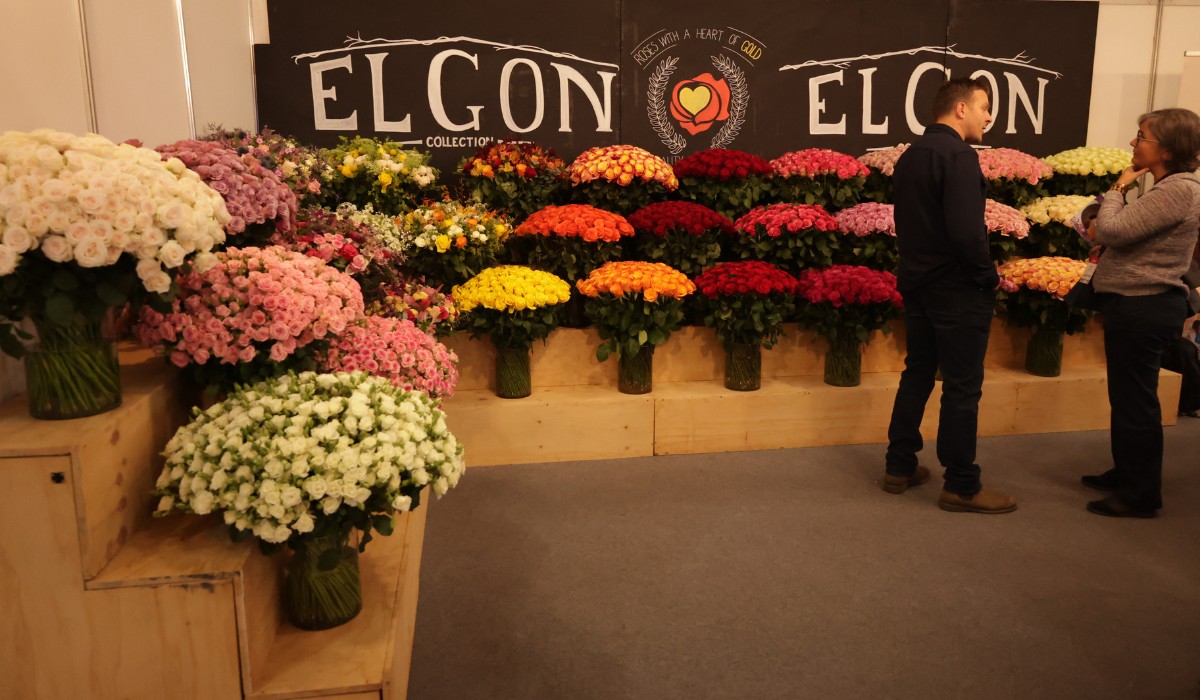 Here&rsquo;s What IFTEX 2026 Revealed About the Strength of Kenya&rsquo;s Flower Industry
