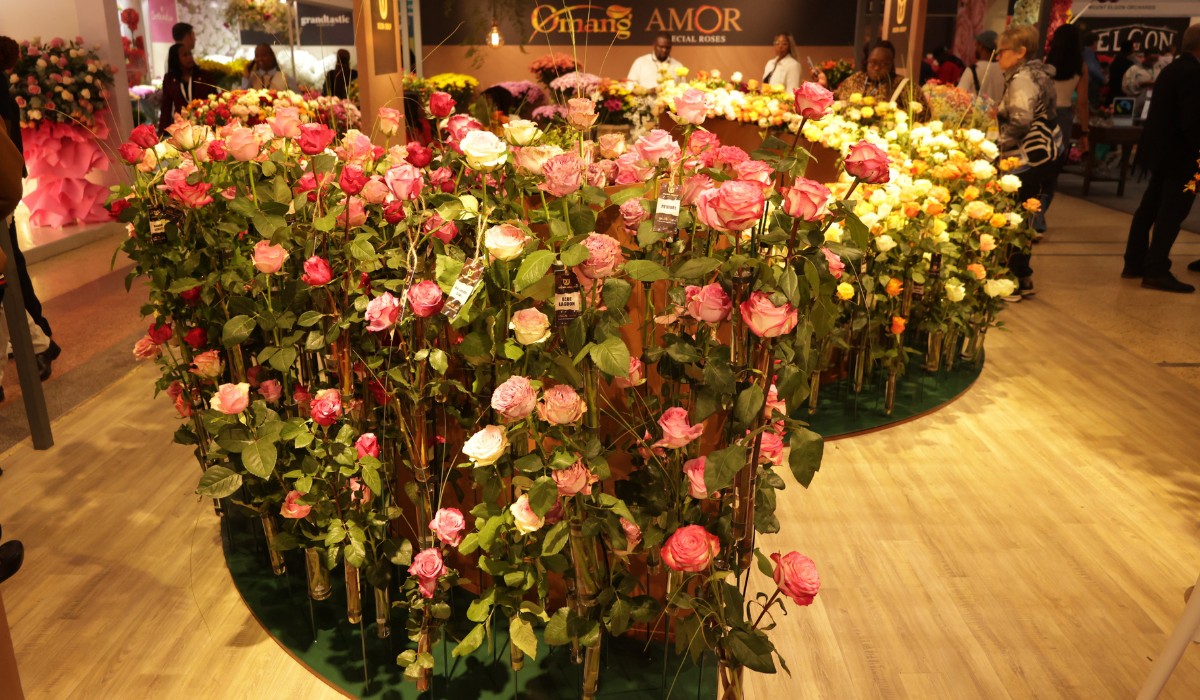 Here&rsquo;s What IFTEX 2026 Revealed About the Strength of Kenya&rsquo;s Flower Industry