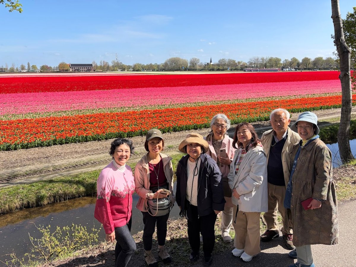 Kazuyo Asayama Blog: Netherlands and Belgium Private Tour to Enjoy Spring Flowers (April 2026).