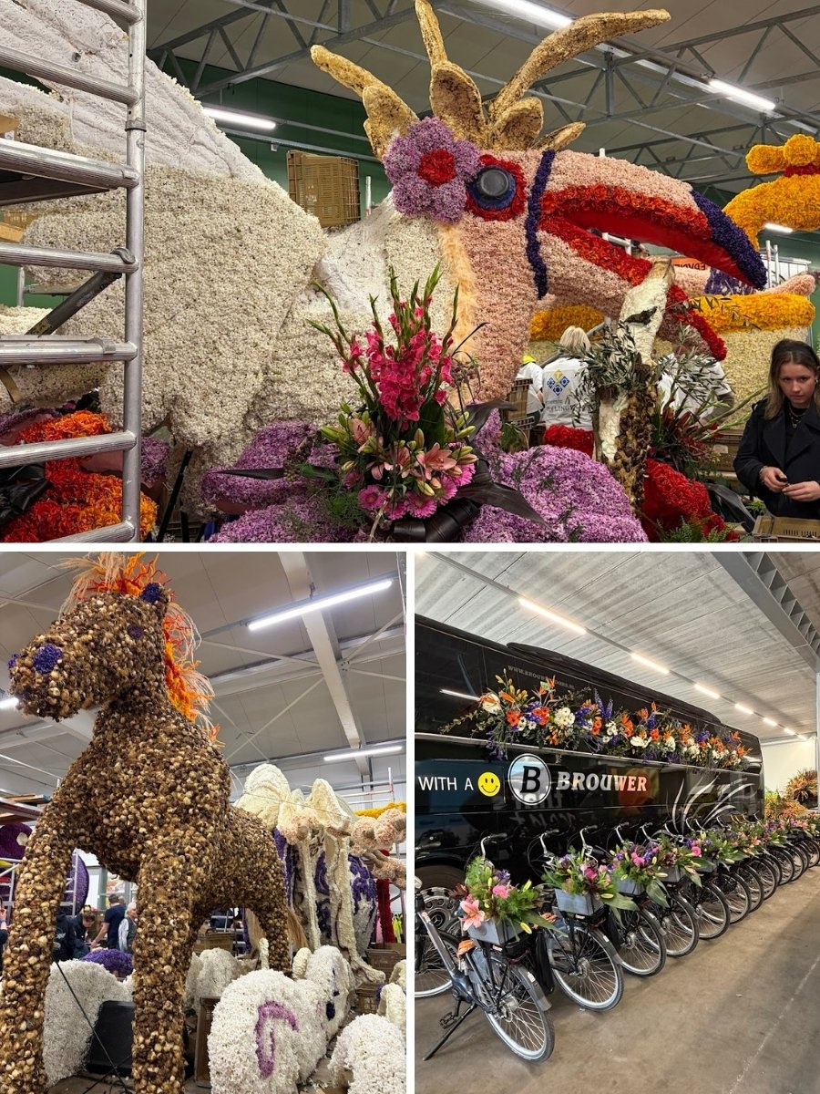 Kazuyo Asayama Blog: Netherlands and Belgium Private Tour to Enjoy Spring Flowers (April 2026).